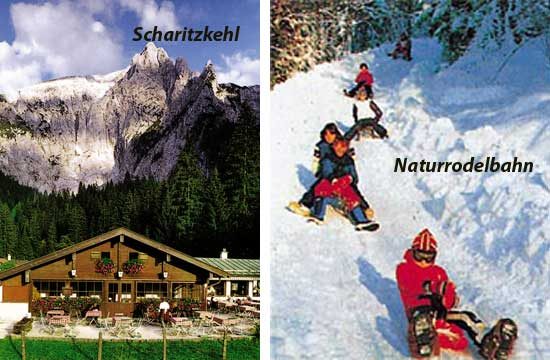 Ansicht: Scharitzkehl